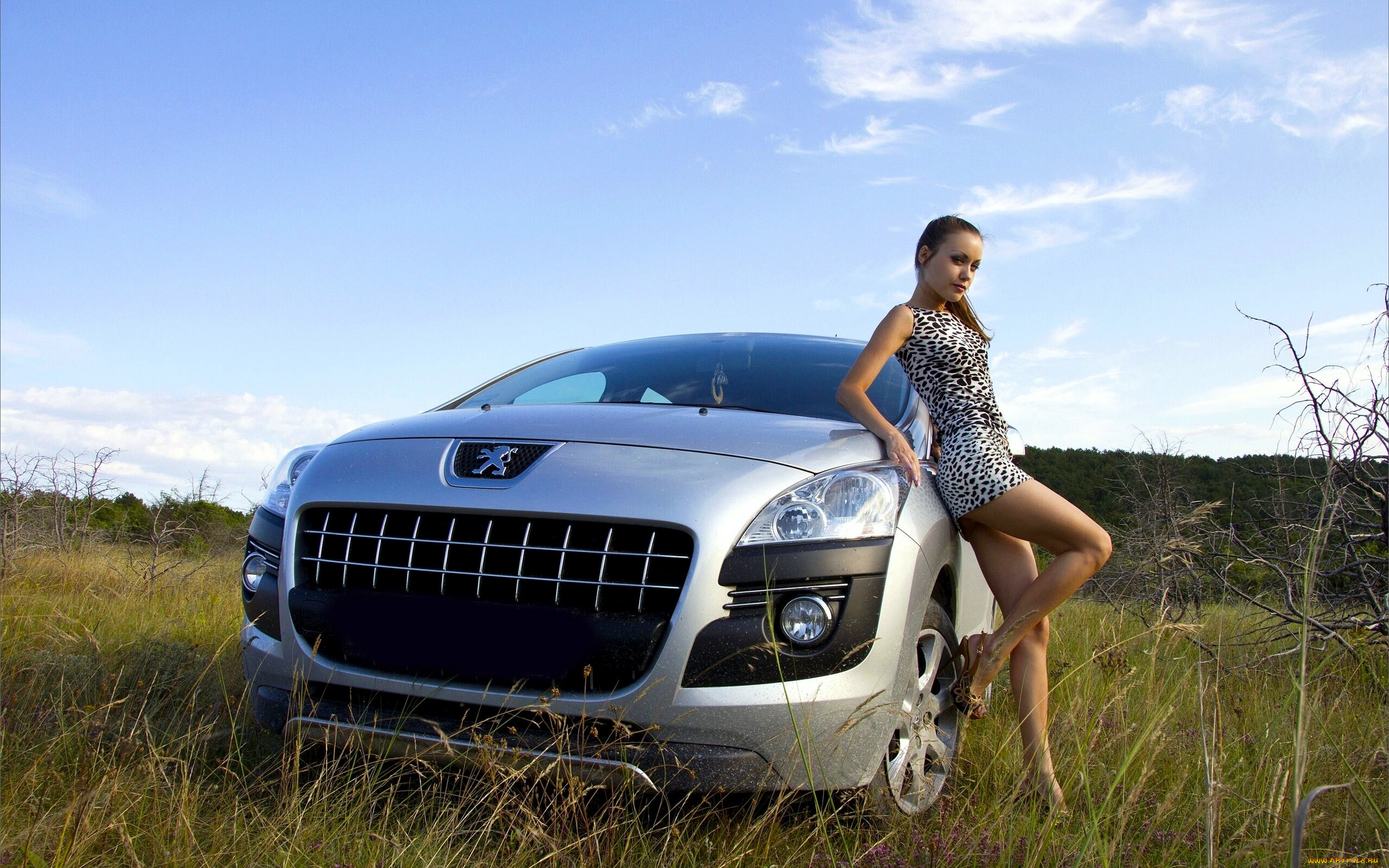 ,   , marta, peugeot